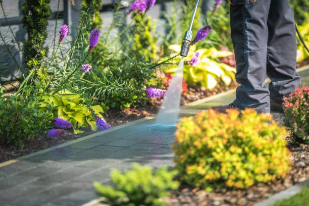 Best Sidewalk and Walkway Cleaning  in Charlottesville, VA